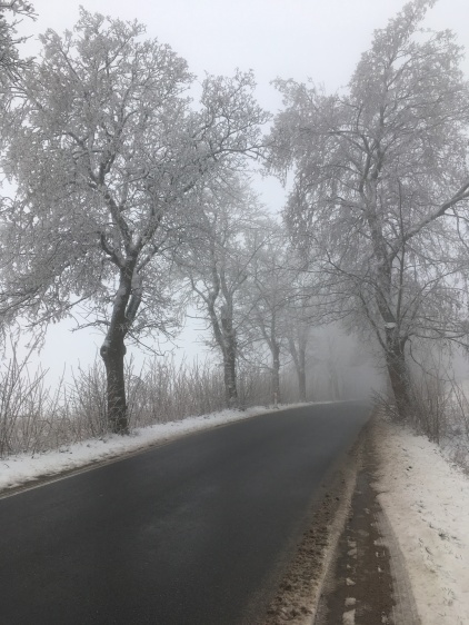 Winterlandschap in Polen.