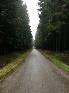 Bosweg in Tsjechië.