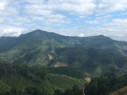Groene heuvels van Laos.