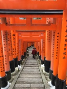 Fushimi Inari-Taisha.