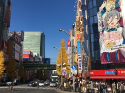 Tokio, Akihabara.